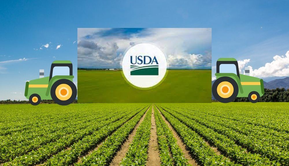 Homeowners with Financing Through USDA Get Extended ...