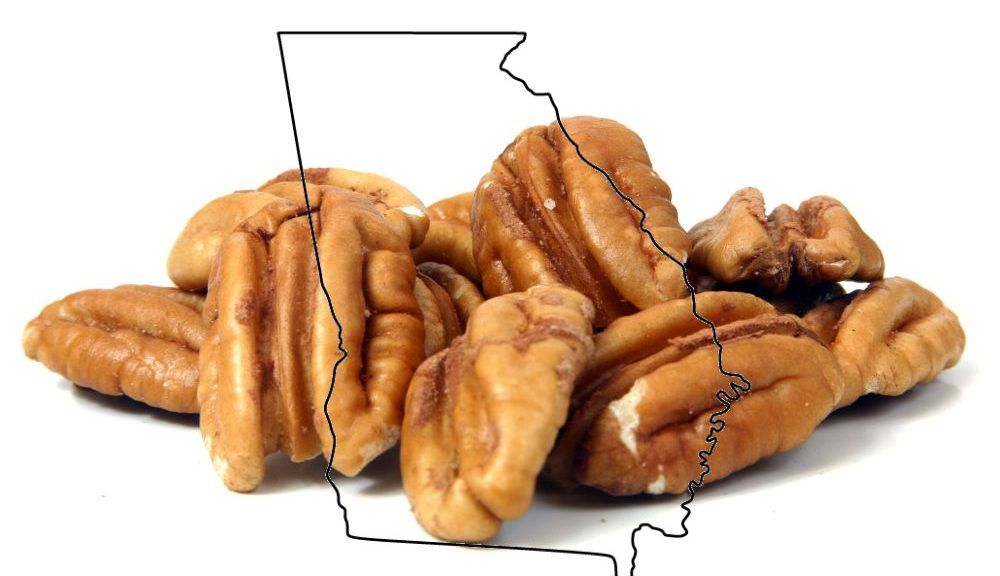 Pecan is Now the 'Official State Nut of • The Virtue