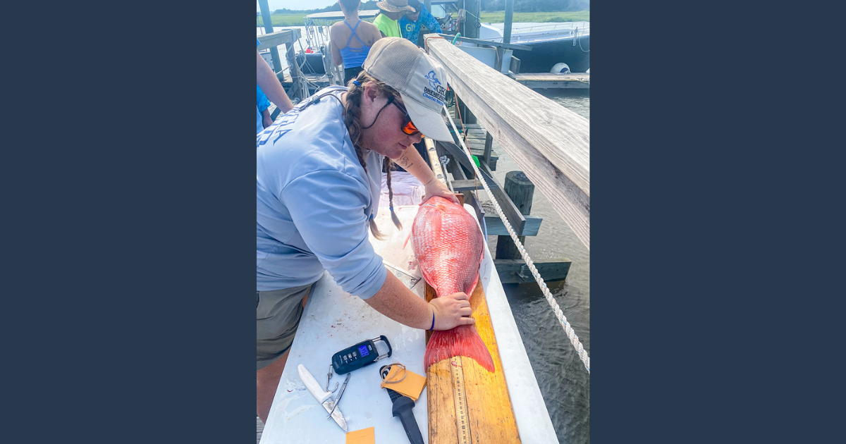 Georgia DNR Requests 2-Month Recreational Red Snapper Season Under Federal Permit Application