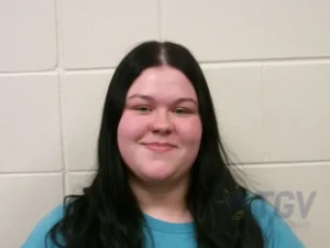 Booking photo for ANDERSON, NOVELYN RENEE on 2/3/2026