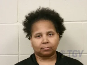 Booking photo for LINDER, TASHINA MURRAY on 2/3/2026