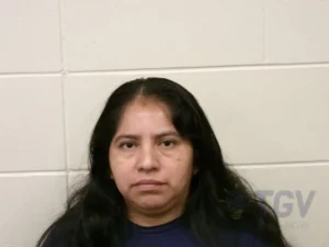 Booking photo for CHE, ELENA SAGUI on 3/8/2026