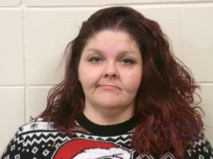 Booking photo for DODD, MICHELLE ELLEN on 3/28/2026