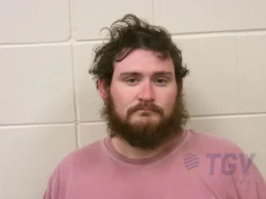 Booking photo for FINCH, KALEB ANTHONY on 3/29/2026