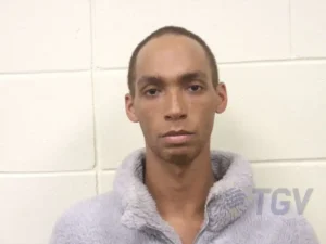 Booking photo for GIOVANNINI, TYLER LADARIUS on 3/28/2026