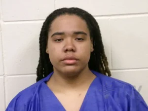 Booking photo for HITCHCOCK HAYES, ANDREA LEONIA on 3/9/2026