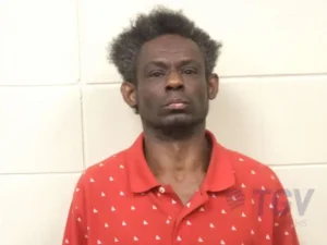 Booking photo for LEE, DAVID on 3/29/2026