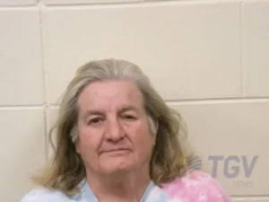 Booking photo for PETERSON, NANCY KAY on 3/28/2026