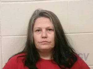 Booking photo for ROBBINS, AMY NICOLE on 3/18/2026