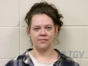 Booking photo for BAIRD, ASHLEY NORINE on 4/17/2026