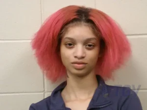 Booking photo for BARNES, CAMILLE SUMMER on 4/29/2026