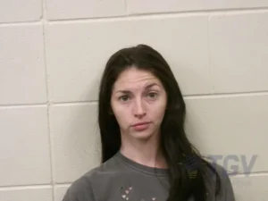 Booking photo for CRAVEN, MARY LOUISE on 4/24/2026