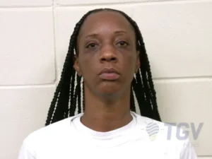 Booking photo for DAVIS, BRITTANY CHIOJI on 4/6/2026