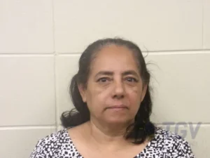 Booking photo for DIAZ, LUISA TECALCO on 4/10/2026