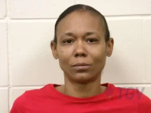 Booking photo for ELLIS, DANIELLE NATISSIA on 4/6/2026