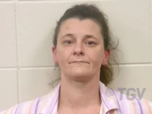 Booking photo for HANSEN, ALLISON NICOLE on 4/10/2026