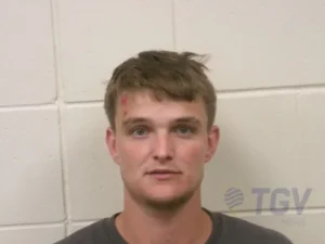 Booking photo for HILLIS, CALVIN COOLIDGE on 4/13/2026