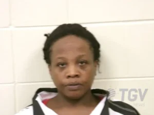 Booking photo for LOVETT, INDIGO TISHA MARIA on 4/17/2026