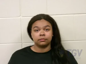 Booking photo for PENCILLE, HEAVEN BELOLE on 4/2/2026