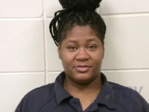 Booking photo for REVAN, NIKETA SYNTYCHE on 4/30/2026