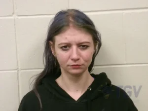 Booking photo for TODD, JADA LYN on 4/17/2026