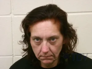 Booking photo for TURNER, AMBER LEE on 4/22/2026