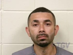 Booking photo for VEGA ORTIZ, IRVING CEZAR on 4/15/2026