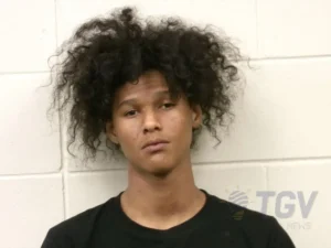 Booking photo for WILLIAMS, LEVI RIVER on 4/6/2026