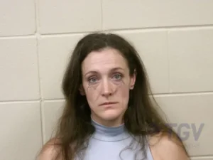 Booking photo for BARNES, LAURA LEIGH on 5/4/2026