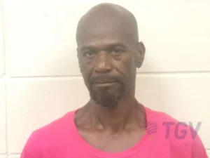 Booking photo for LANIER, THEO on 5/28/2026