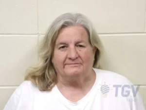 Booking photo for PETERSON, NANCY KAY on 5/26/2026
