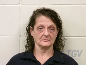 Booking photo for BRIDGES, TRACI LYNN on 6/23/2026