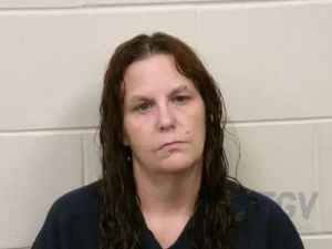 Booking photo for CHAMBERS, WENDY RENEE on 6/19/2026