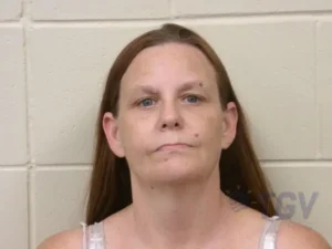 Booking photo for CHAMBERS, WENDY RENEE on 6/26/2026