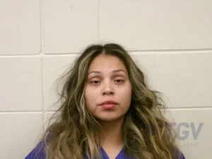Booking photo for CHIEFSTICK-GOPHER, SAUNDRA LEE on 6/7/2026