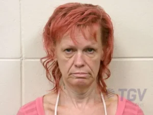 Booking photo for GIBSON, THERESA MARIE on 5/29/2026
