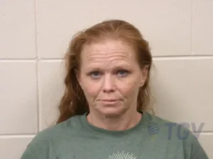 Booking photo for MASSEY, BRIDGET AMANDA on 6/17/2026