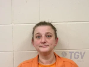 Booking photo for PHILLIPS, MELISSA JANE on 6/29/2026