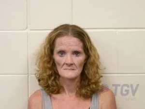 Booking photo for WILSON, APRIL NICOLE on 6/22/2026