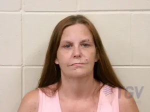 Booking photo for CHAMBERS, WENDY RENEE on 7/10/2026