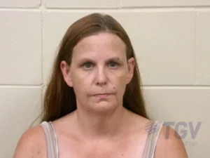 Booking photo for CHAMBERS, WENDY RENEE on 7/24/2026