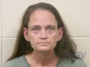 Booking photo for HENSLEY, TABBATHA LYNN on 7/28/2026