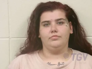 Booking photo for HOLCOMBE, BRITTANY ANN on 7/7/2026