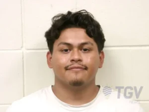 Booking photo for PUGA, VICENTE on 7/19/2026