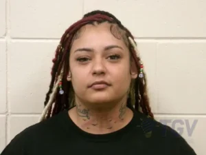 Booking photo for WASHINGTON, ELAINE LYNN on 7/24/2026
