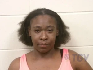 Booking photo for WILLIAMS, DAWNTRAI CHINIQUE on 7/4/2026