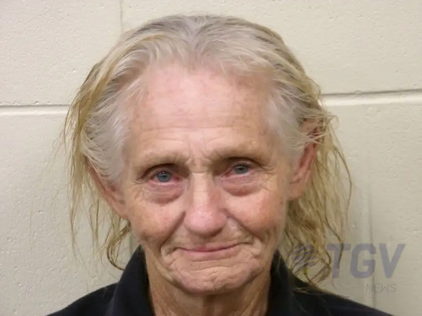 BABCOCK, CYNTHIA ANN