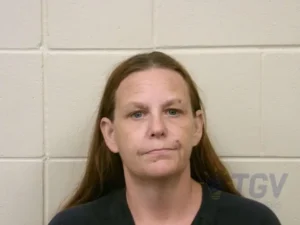 Booking photo for CHAMBERS, WENDY RENEE on 8/7/2026
