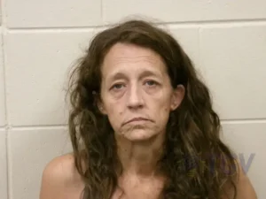 Booking photo for DOTY, BRANDI KATHRINE on 8/28/2026