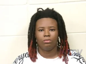 Booking photo for GRAY, AMORIE ROSA-LEE on 8/18/2026